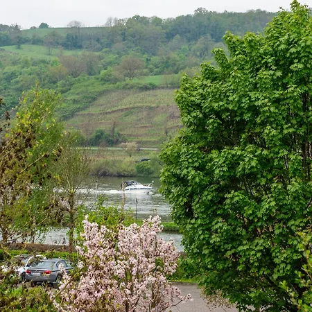 Mosel Harmonie Fuer Familien Apartment *